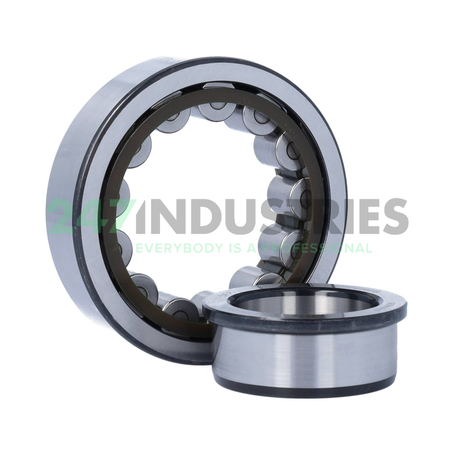 NJ309ECP/C4VQ015 SKF Image 2