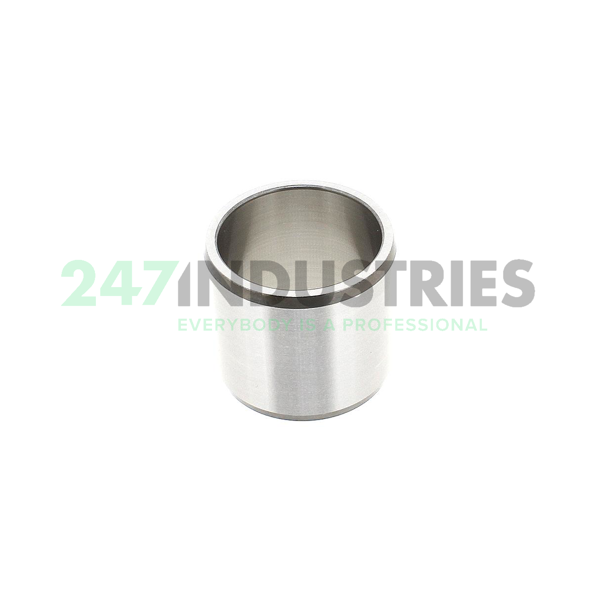 IR25X30X26,5-EGS INA