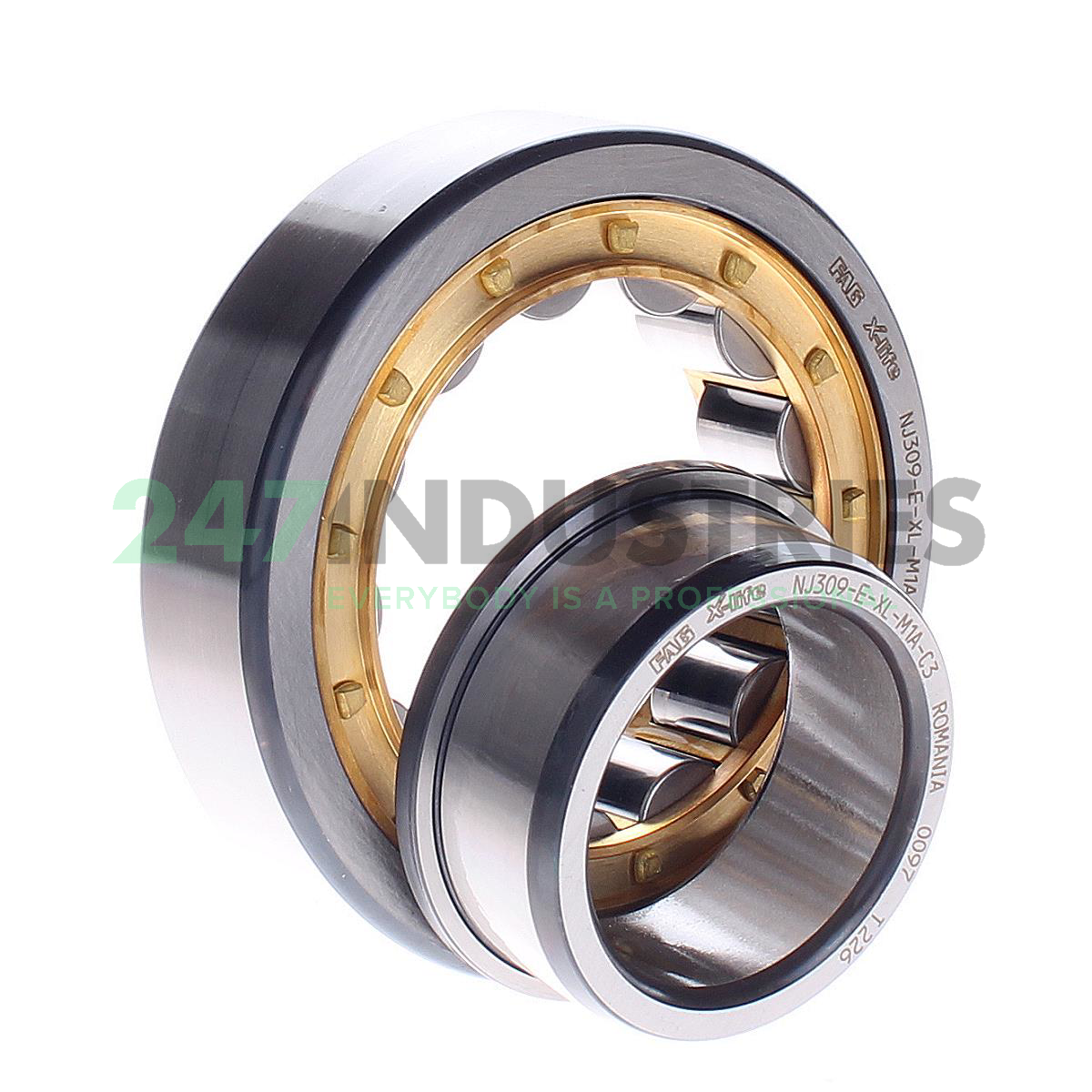NJ309-E-XL-M1A-C3 FAG Image 2