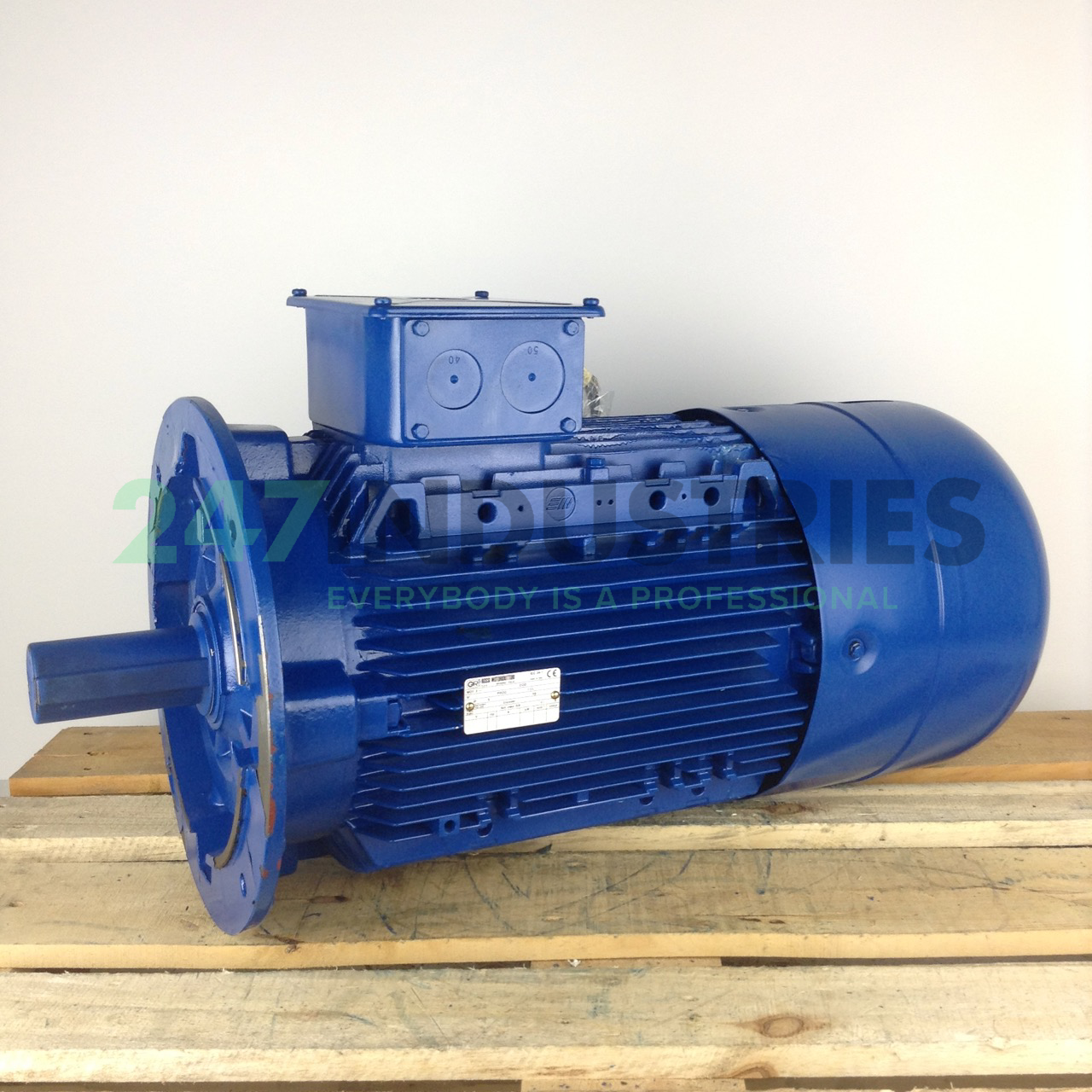 F0200L448060B5 Rossi