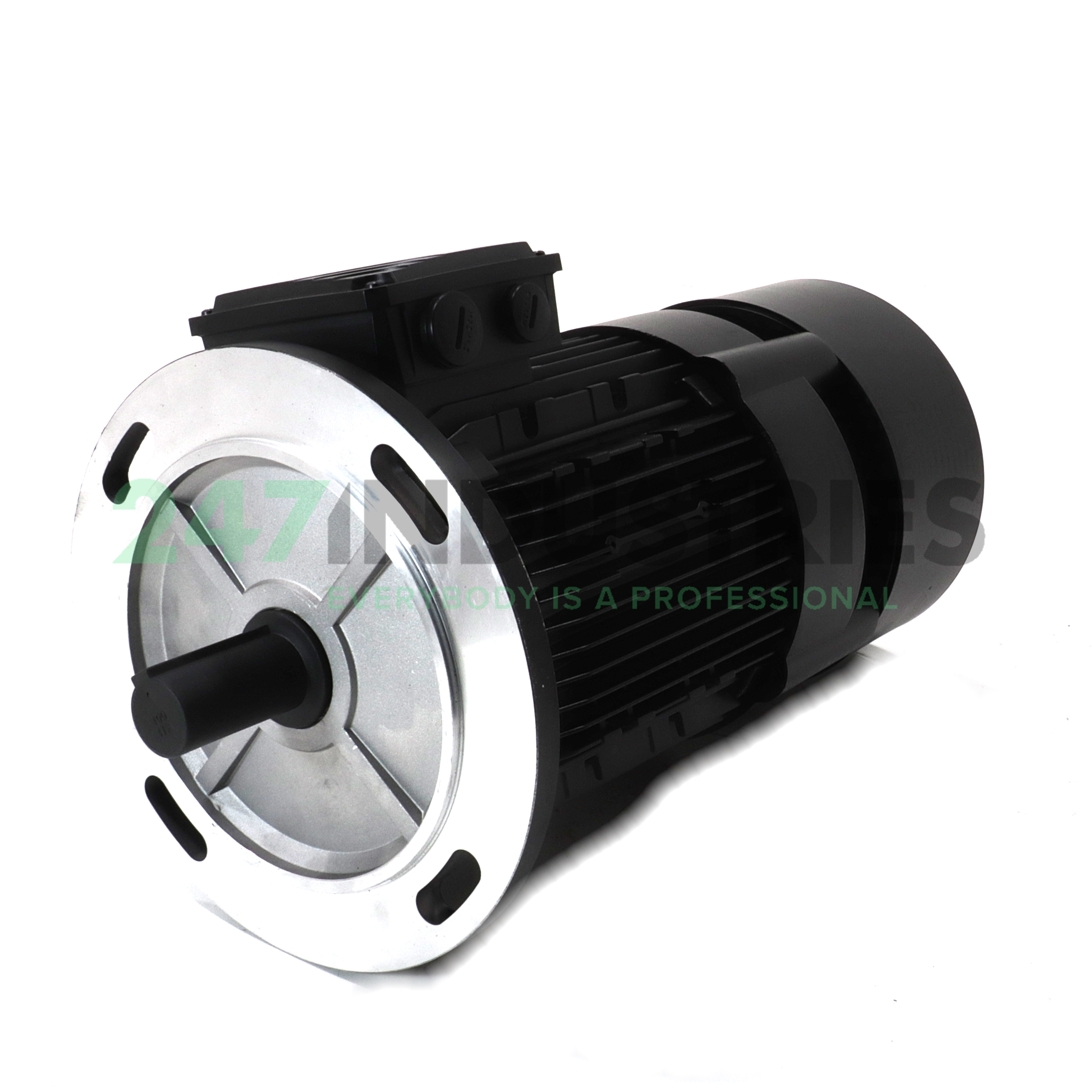 AMF100LAA4B5 Lafert Image 1