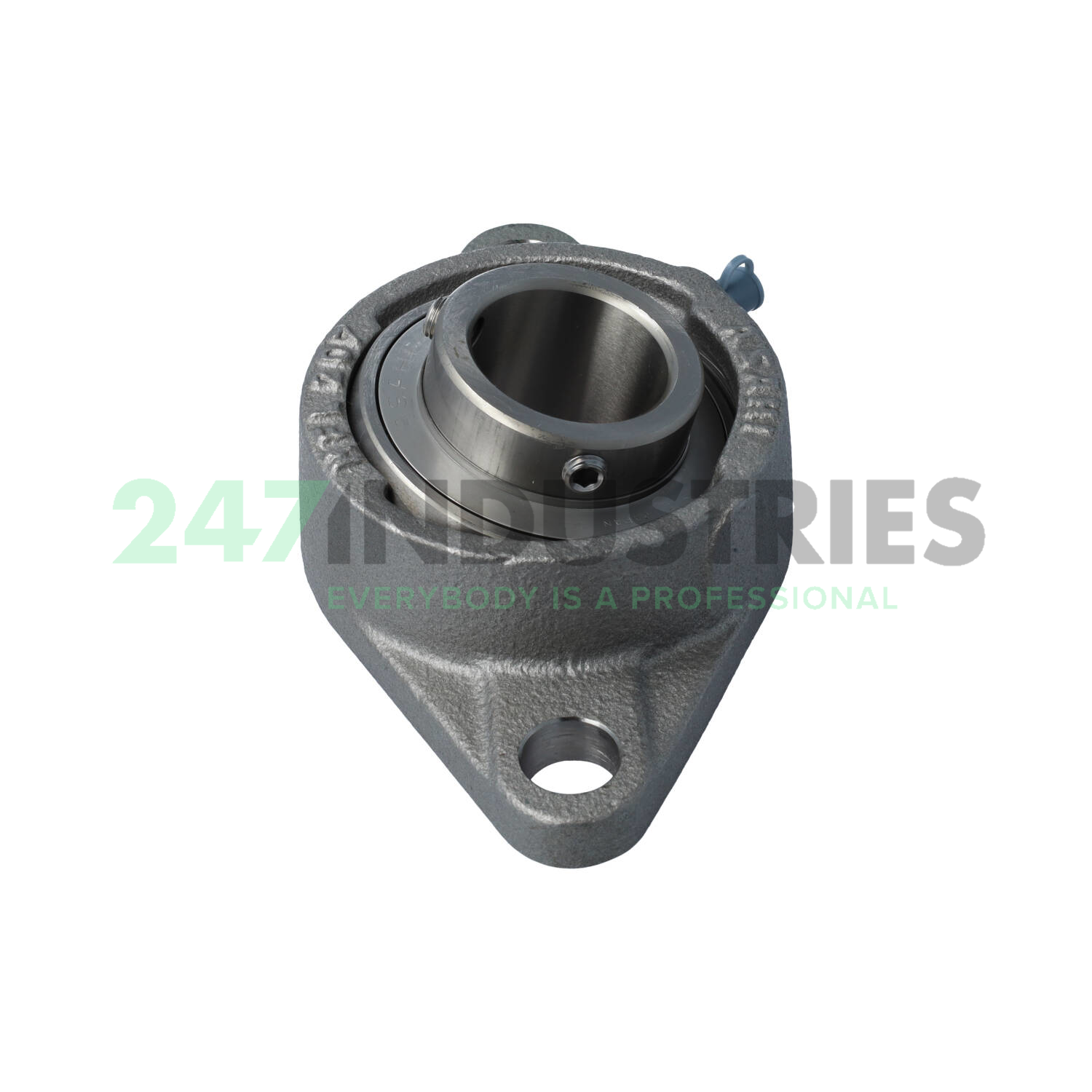 MUCFL207 Asahi Image 3