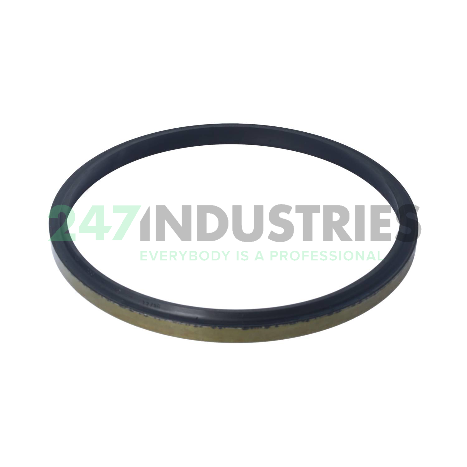 AS200X220X12 Freudenberg Image 2