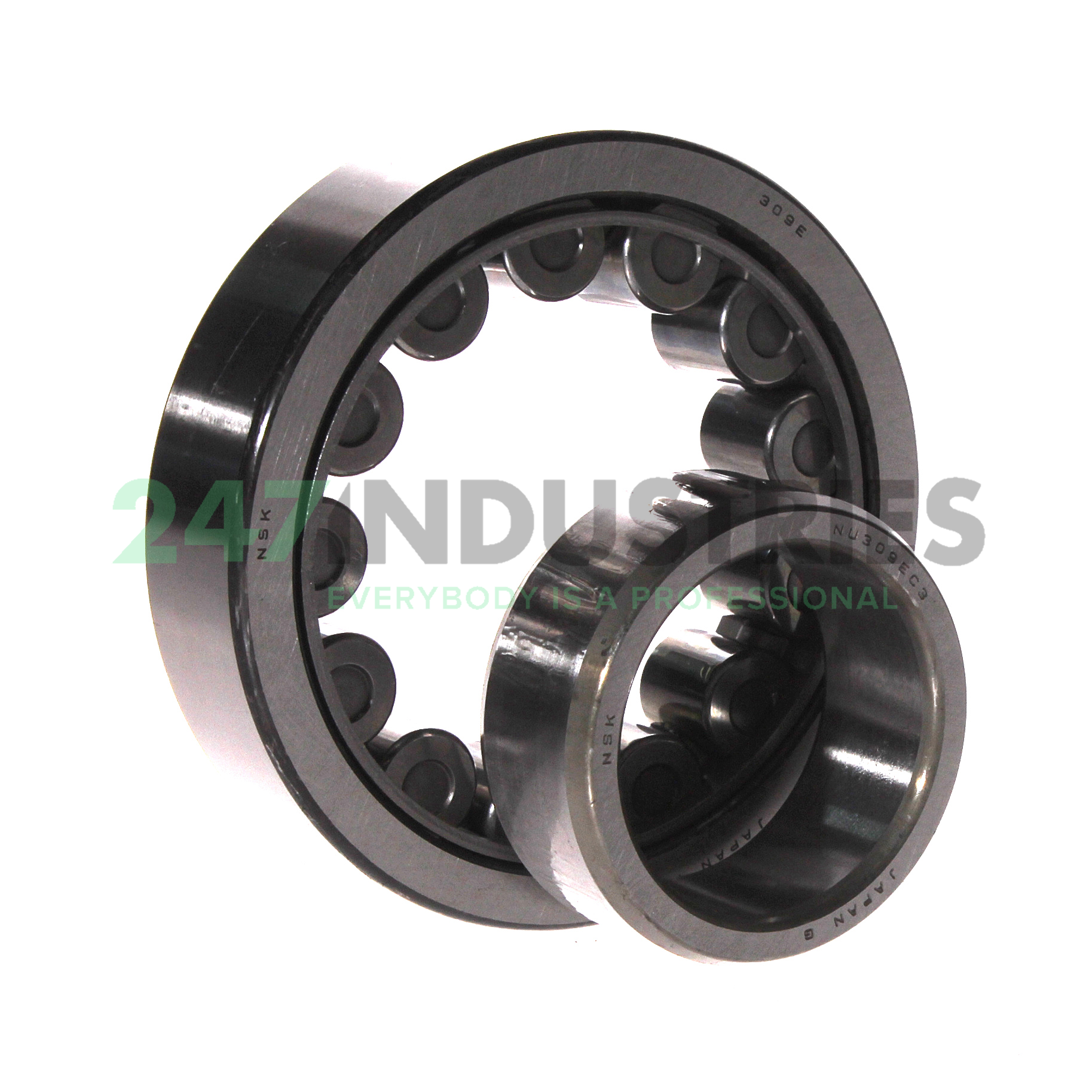 NU309EW C3 NSK Image 2