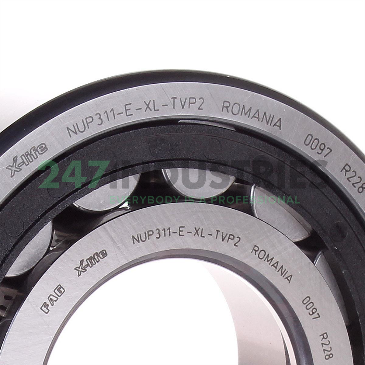NUP311-E-XL-TVP2 FAG Image 2