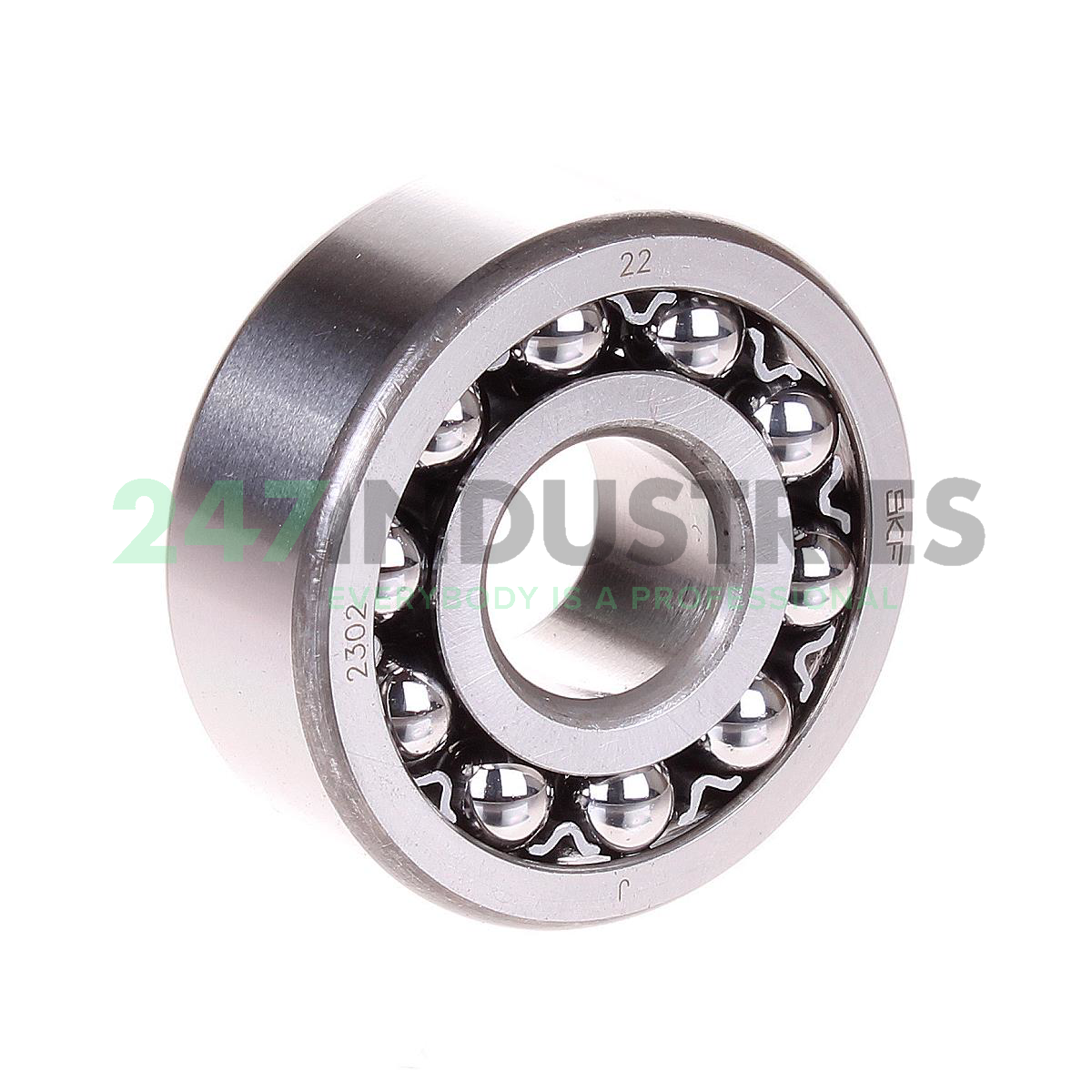 2302 SKF