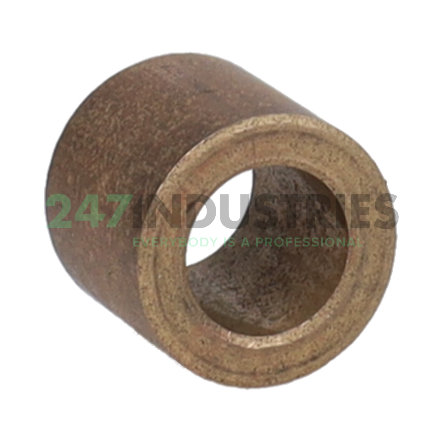 PSM101616A51 SKF Image 2