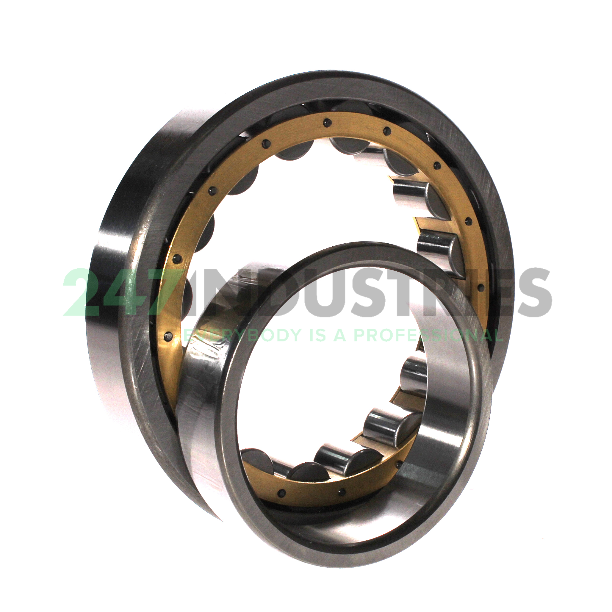 NU219EM C3 FBJ Image 3