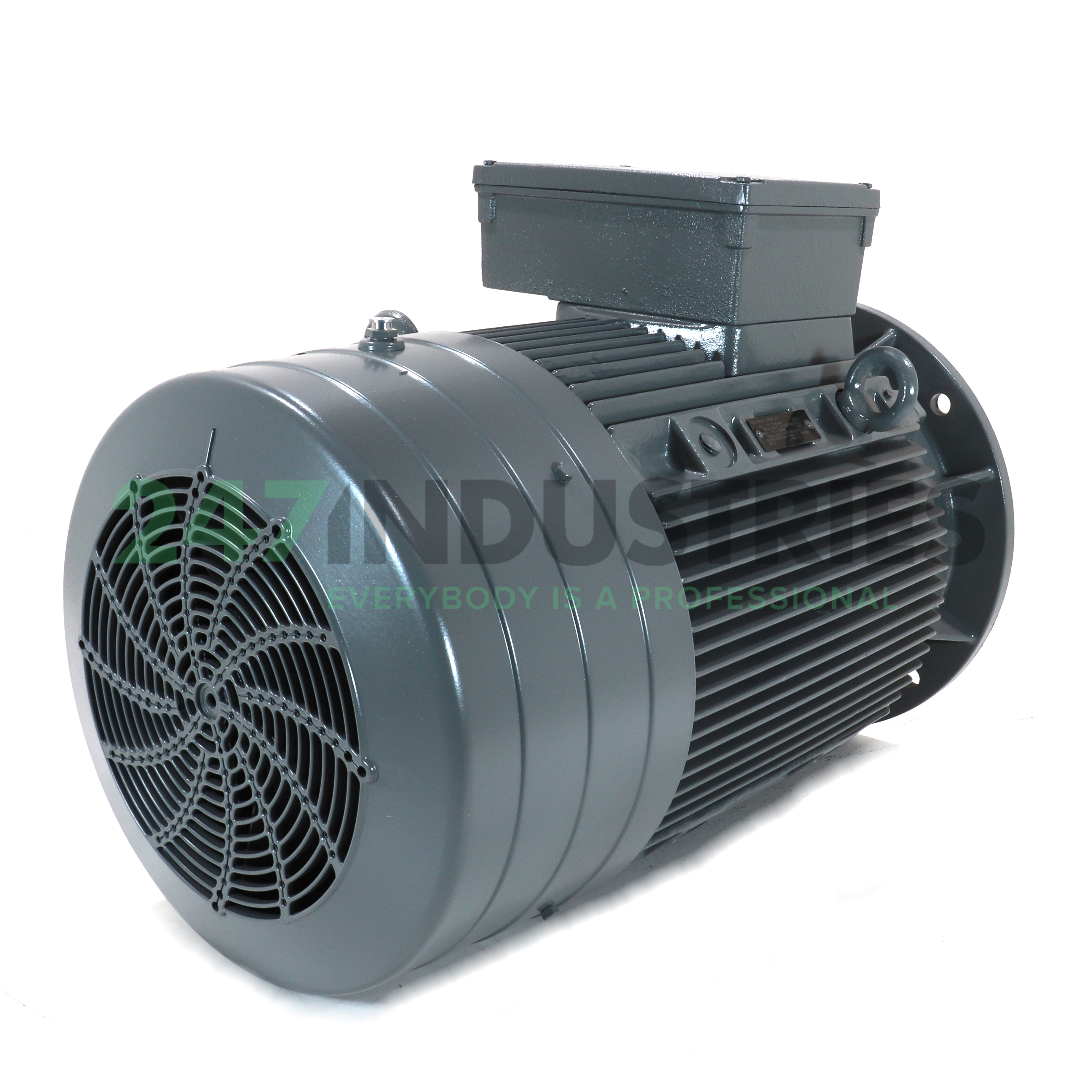 16BG207-6AA61-Z Lönne Image 4