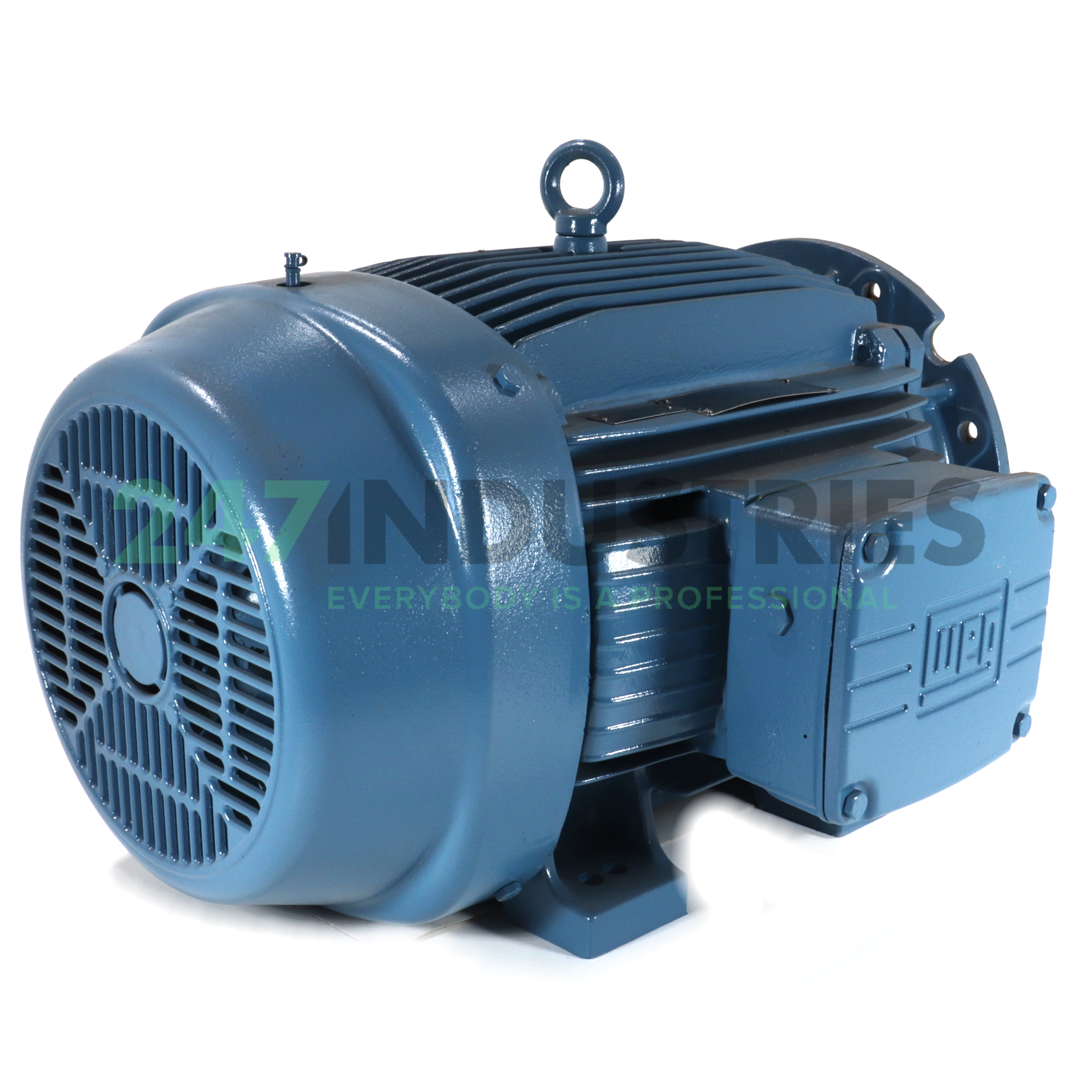 30K32CI1225S/M6B35 WEG Image 3