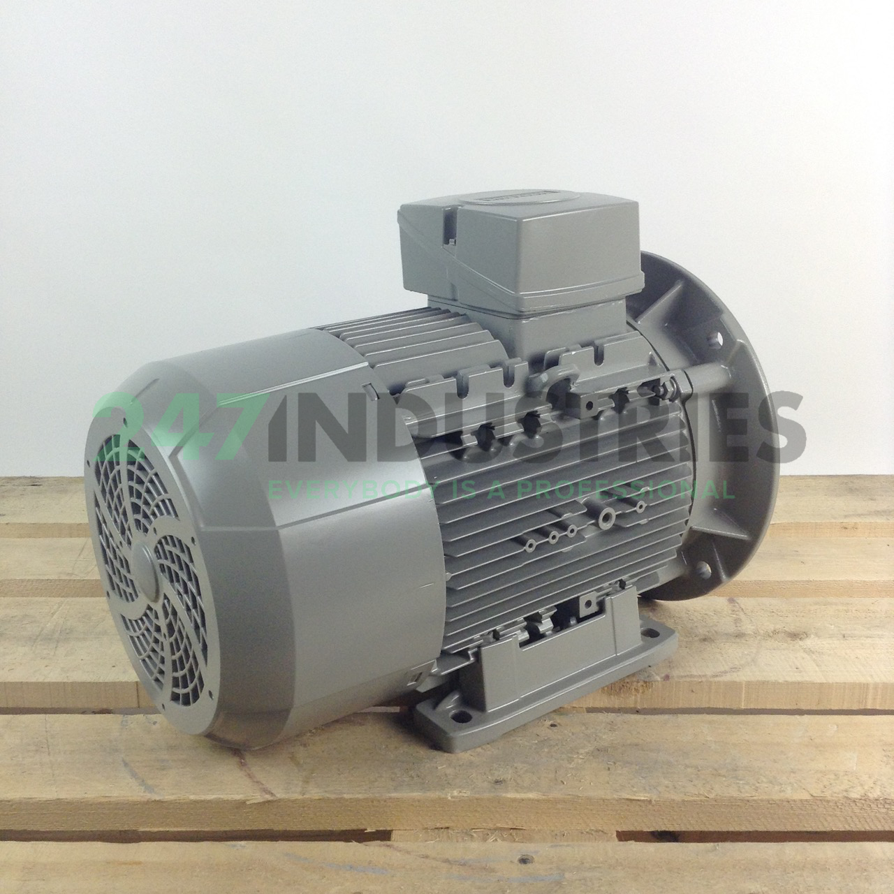 1LE1003-1CB23-4JA4 Siemens Image 4