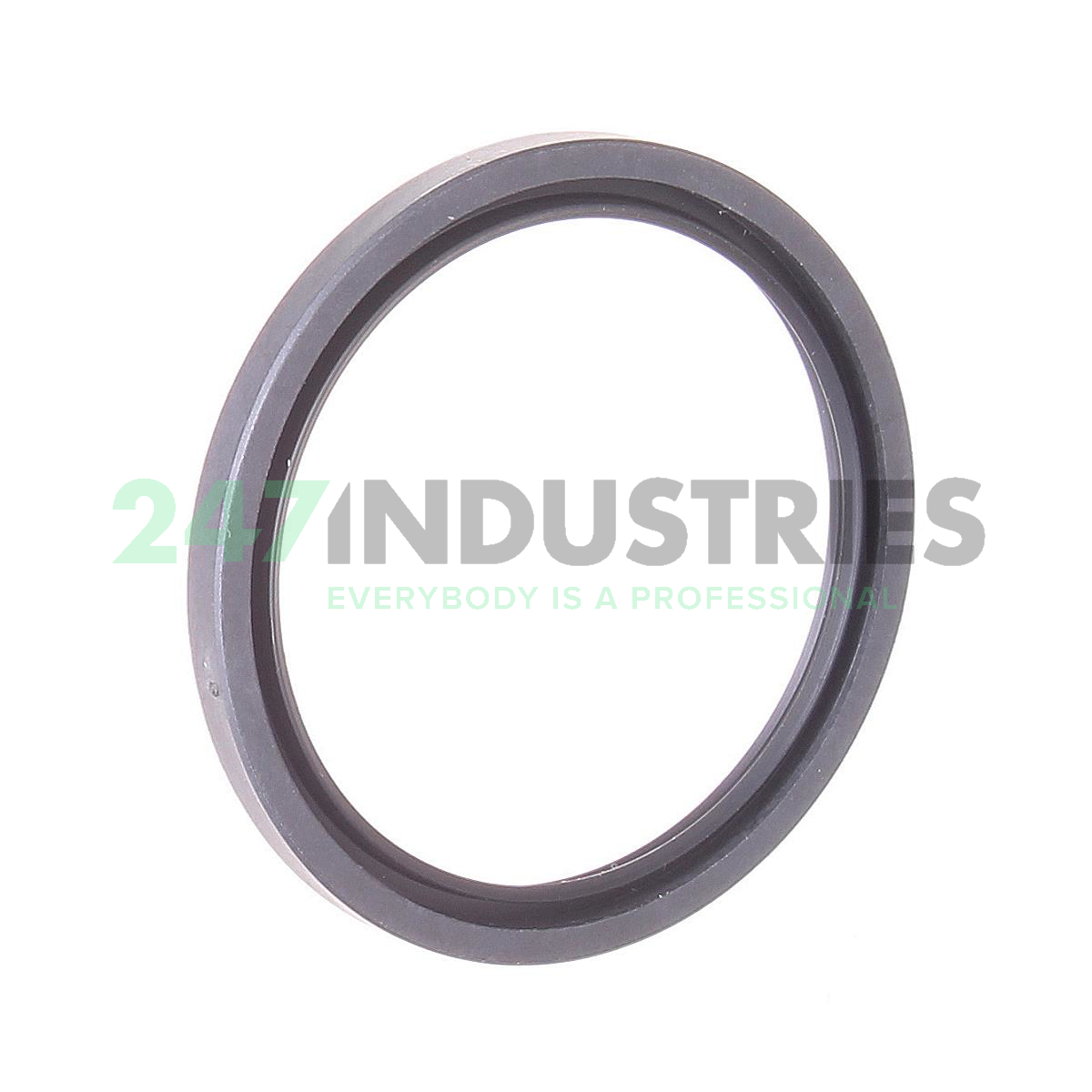 SD45X55X4-A INA Image 2