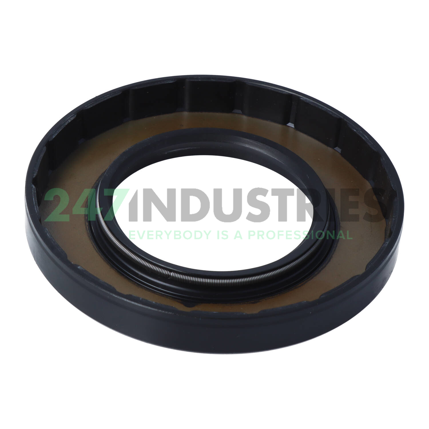 SC55X100X13 NAK Sealing Technologies Image 2