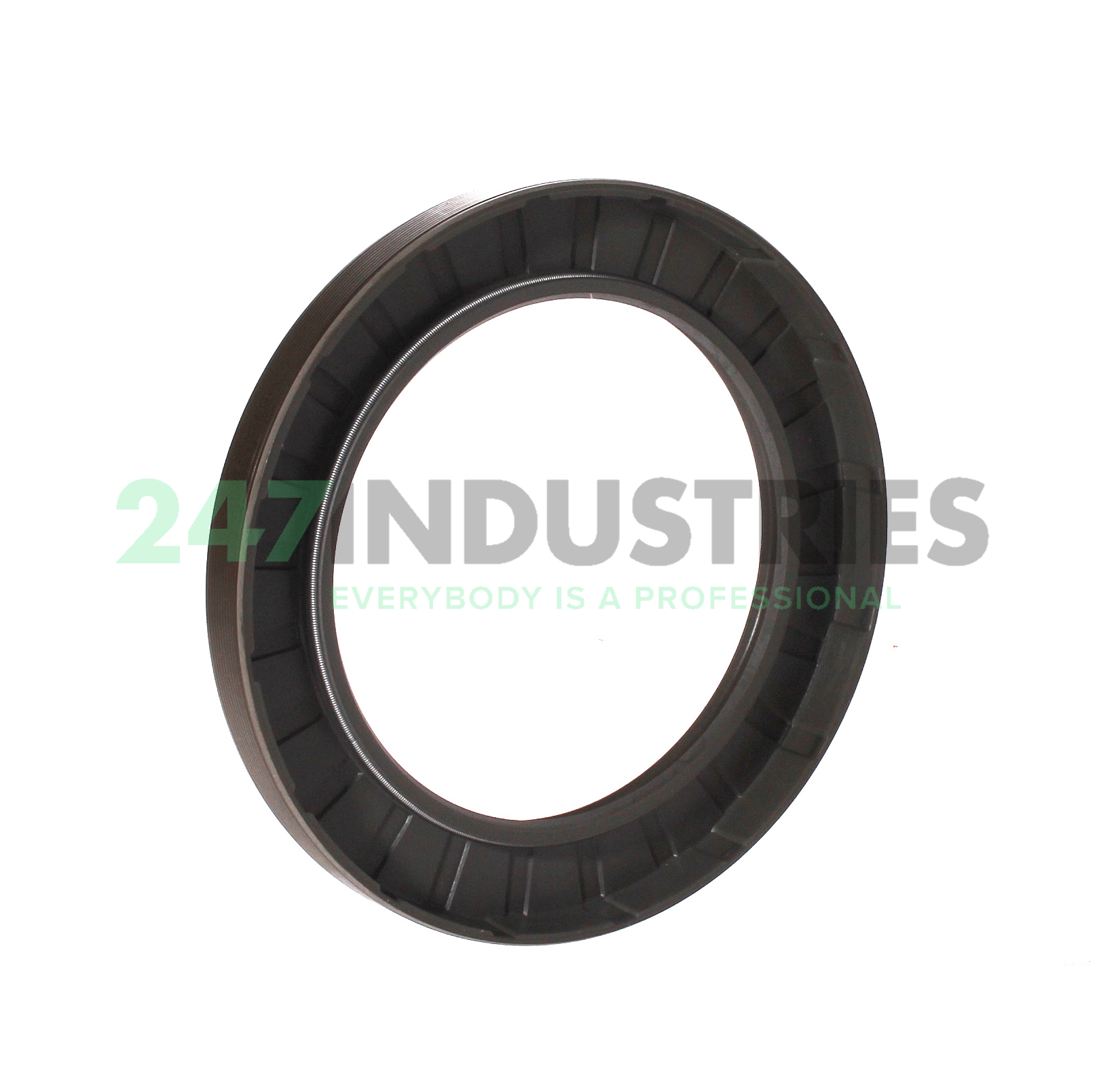 85X120X12HMSA10RG SKF Image 2