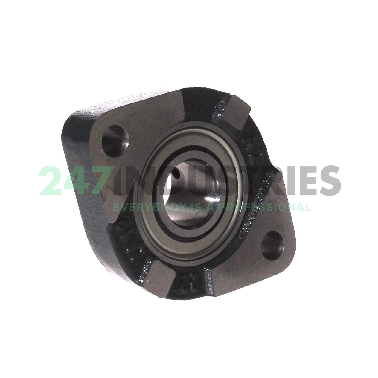 GLCTEY20 INA Image 3