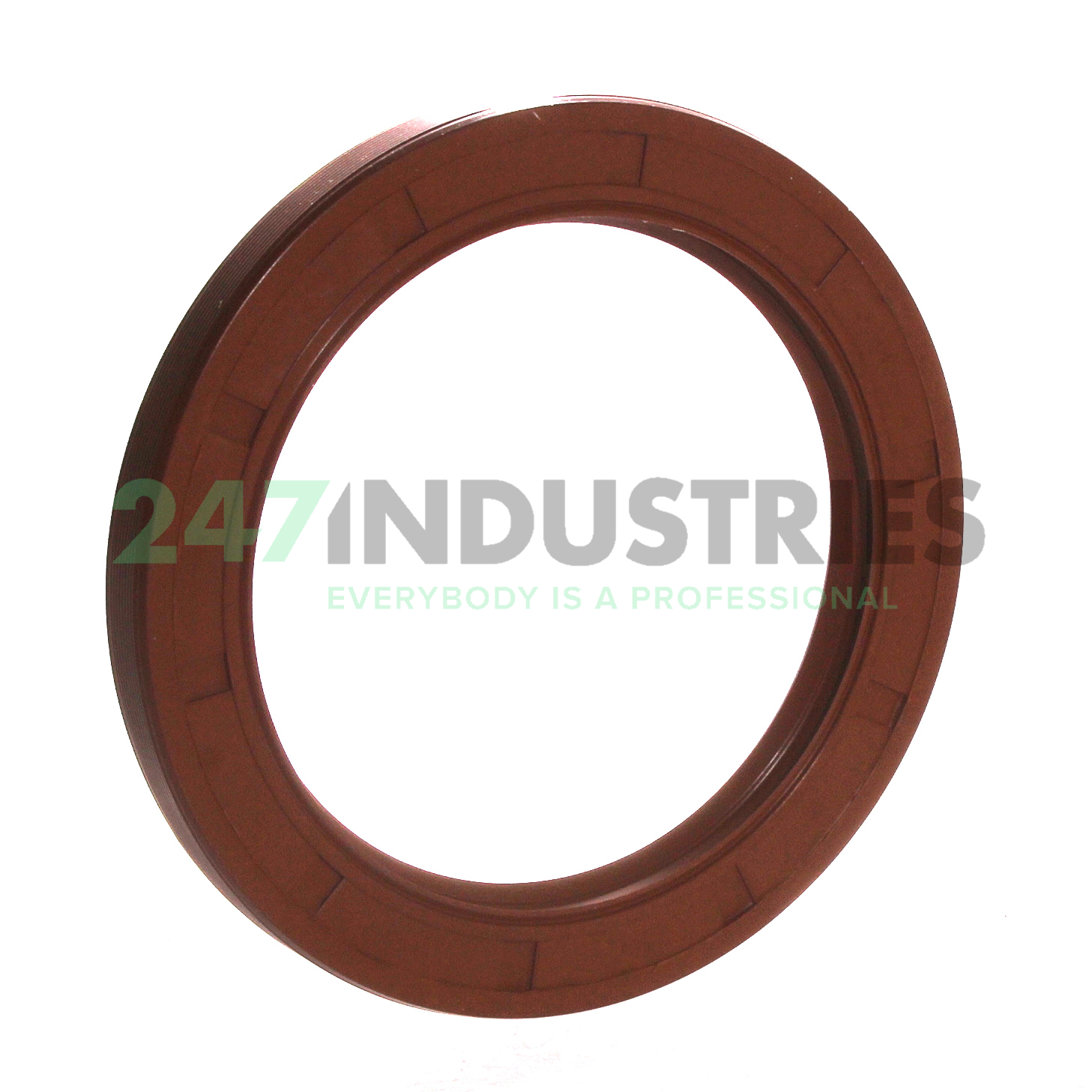 75X100X10HMSA10V SKF