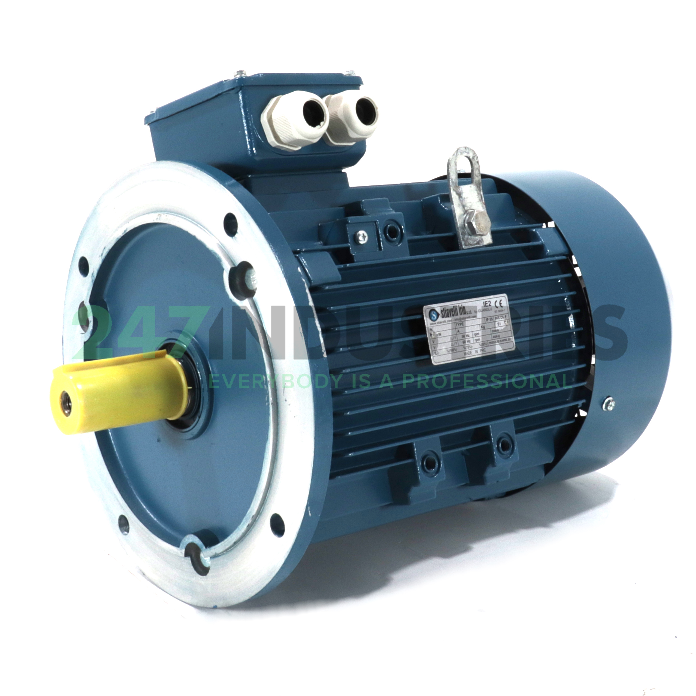 IE2-132S1-2B5 Guanglu