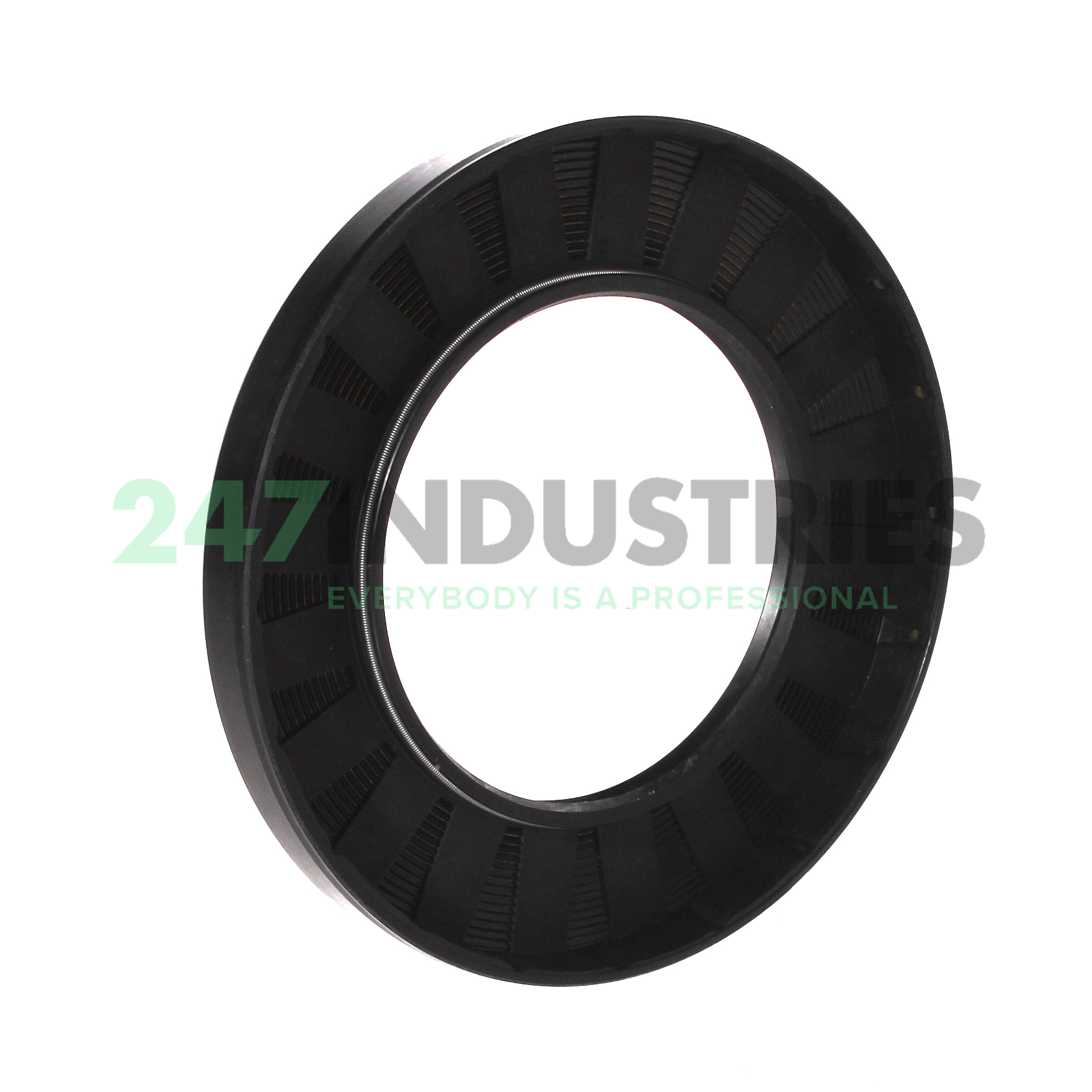 TC75X125X13 CHO Champ Oil Seals Image 2