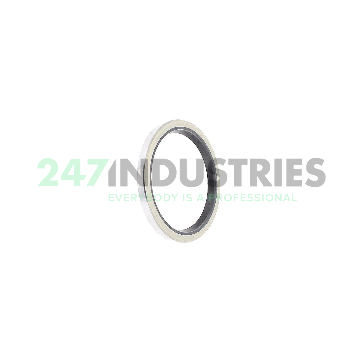 DH40X50X4 Torrington