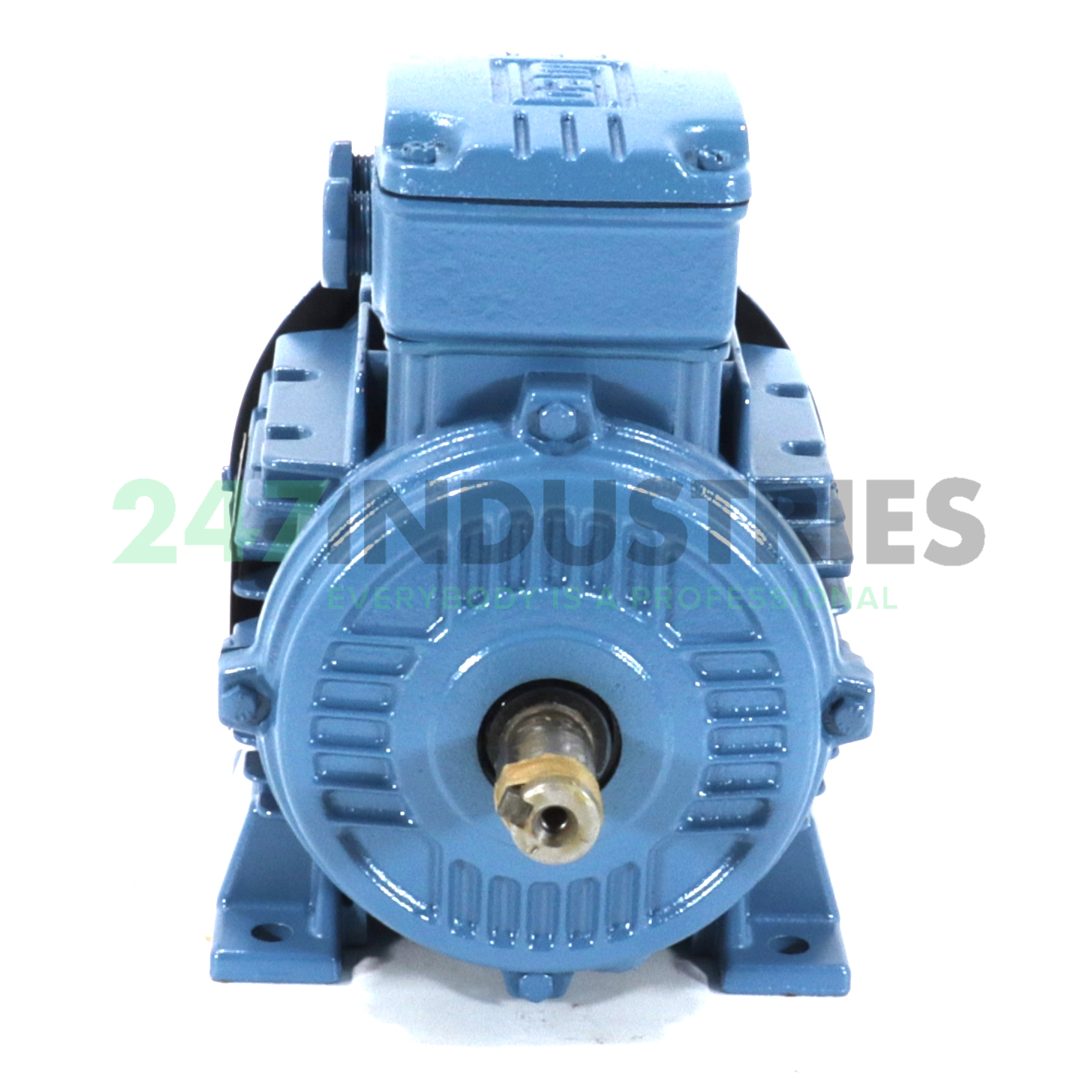 0.25K31AL0808B3 WEG Image 2