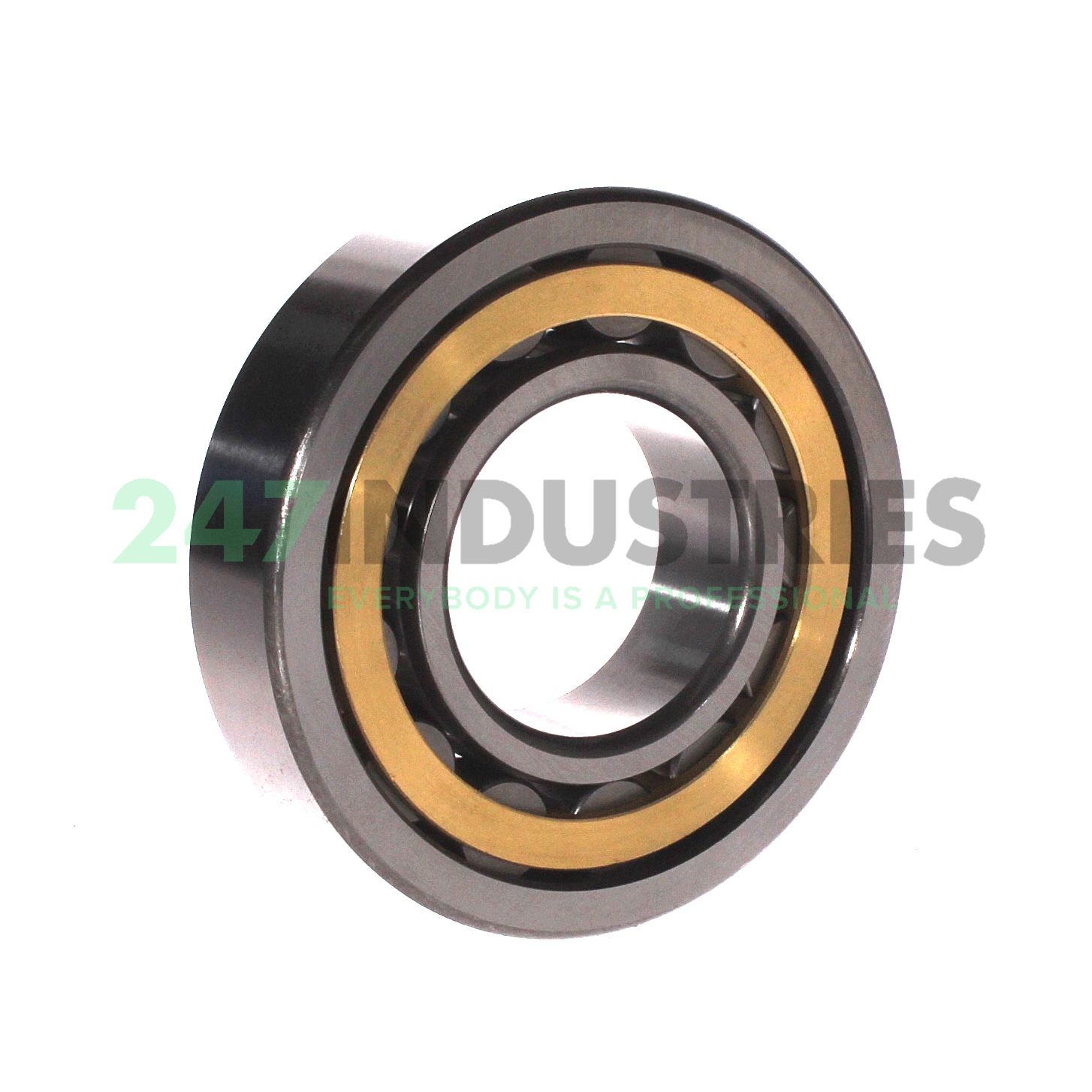 NU310EM C3 FBJ Image 2