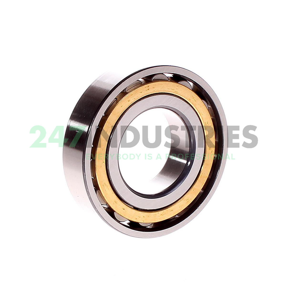 N207-E-XL-M1 FAG Image 3