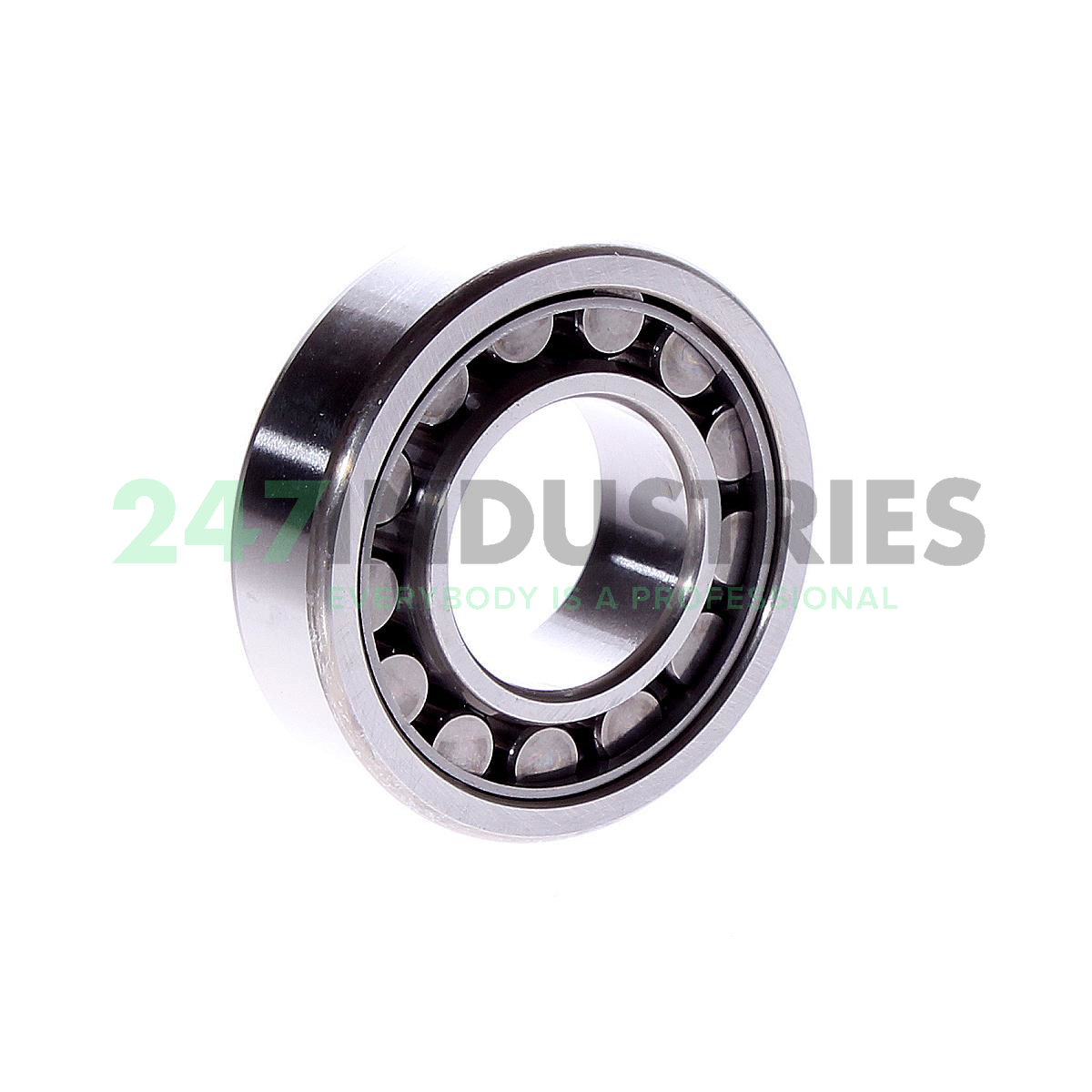 NU205EW NSK Image 3