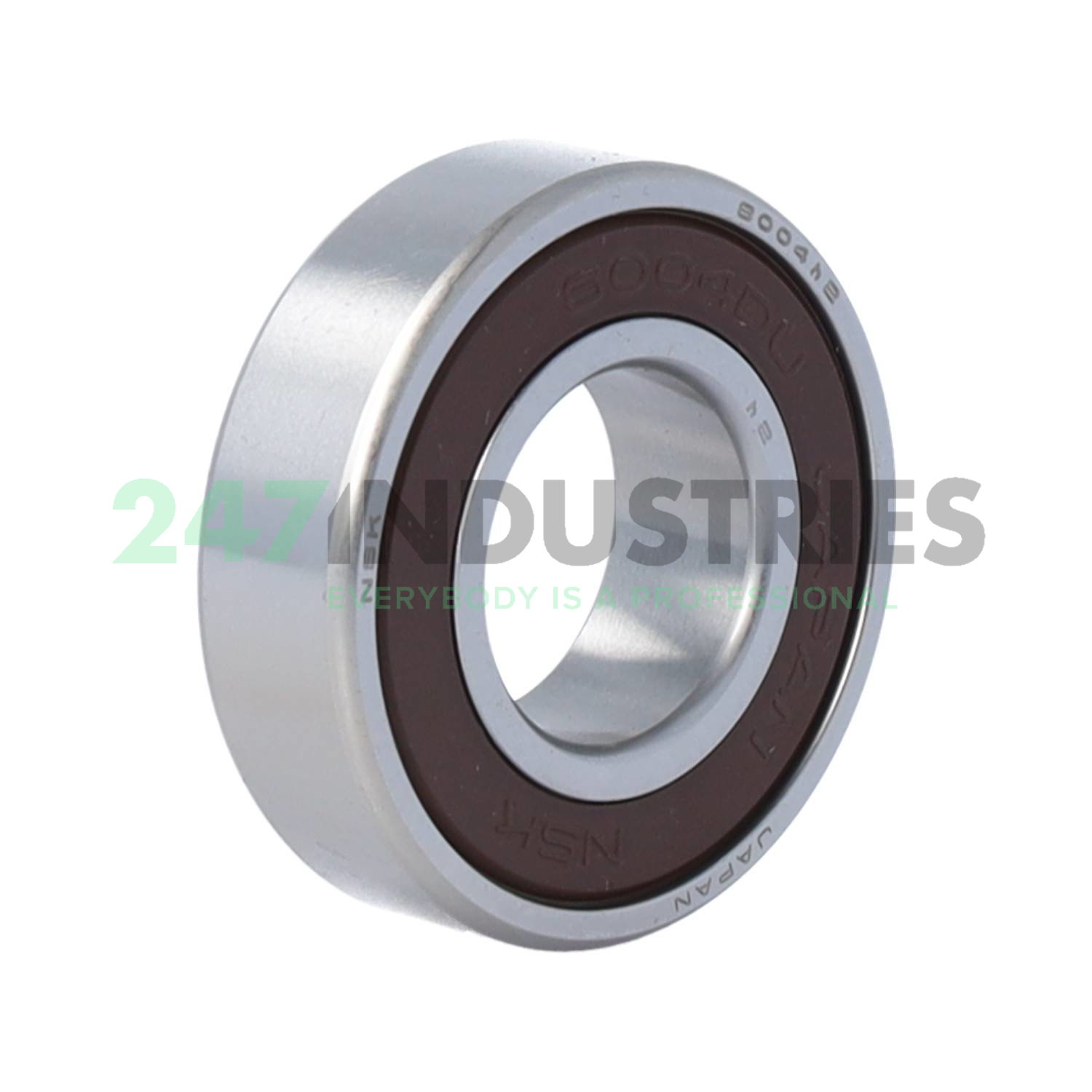 6004L11-H-20DDU GVS NSK