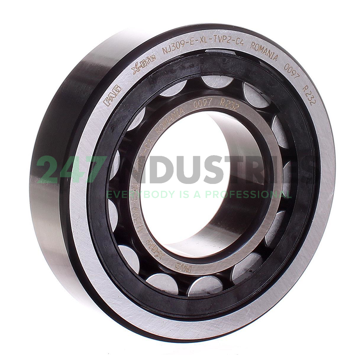 NJ309-E-XL-TVP2-C4 FAG