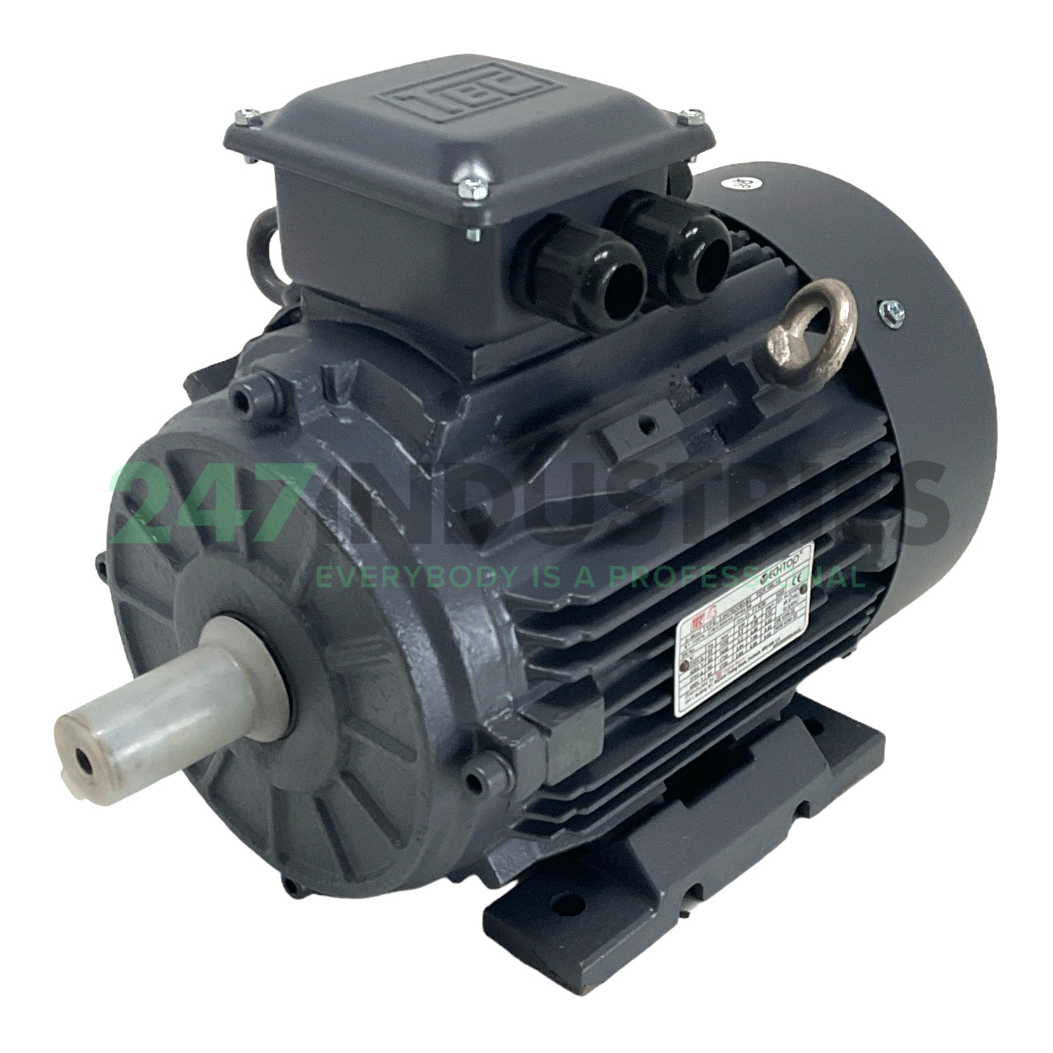 T2CR100L1-4-B3 TechTop Motor