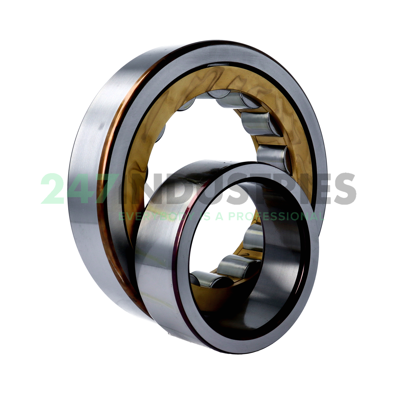 NU319ECM SKF Image 3