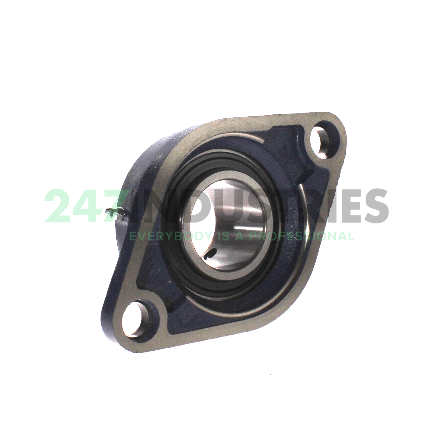 FYTB50TF SKF Image 3