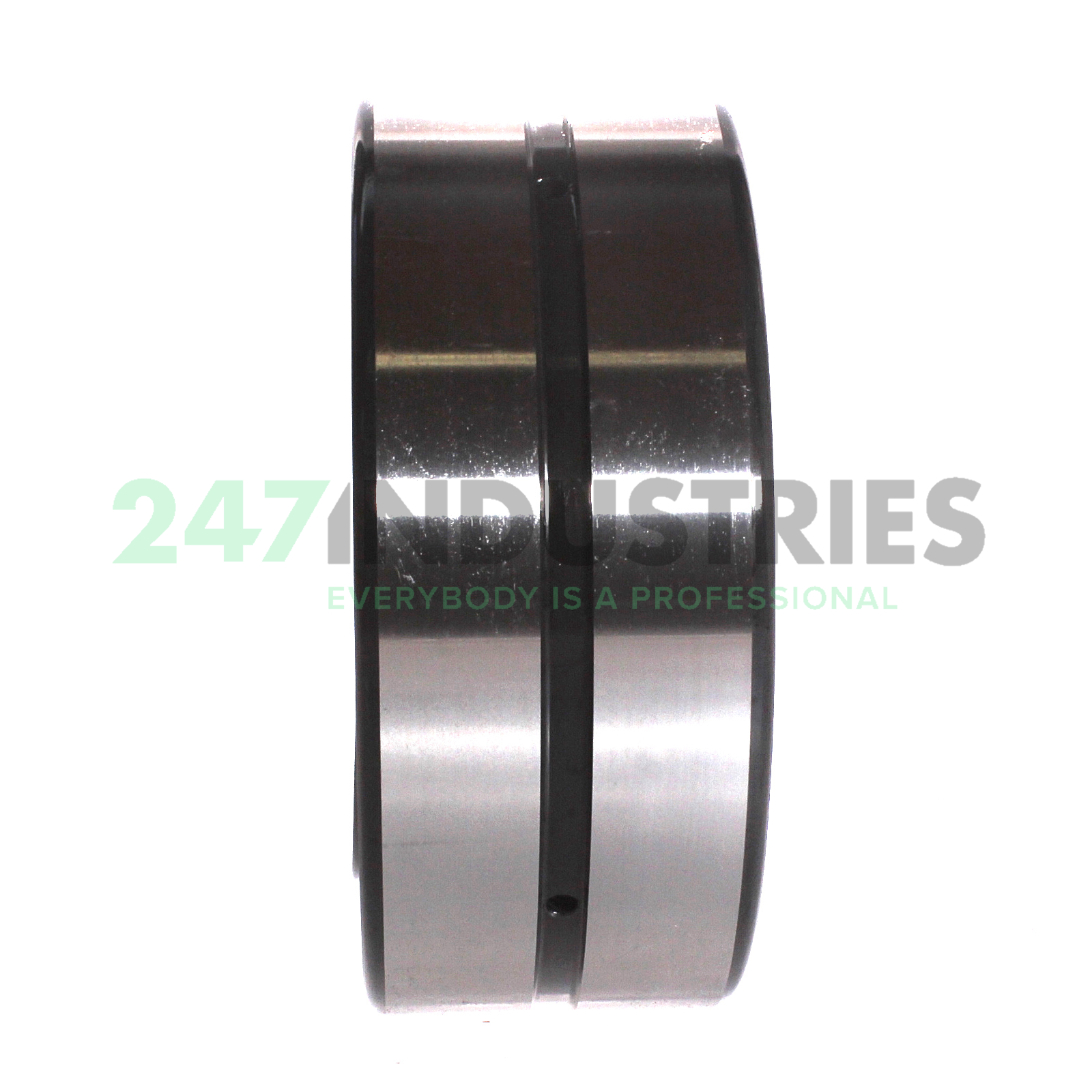 24120CAME4C3S11 NSK Image 2