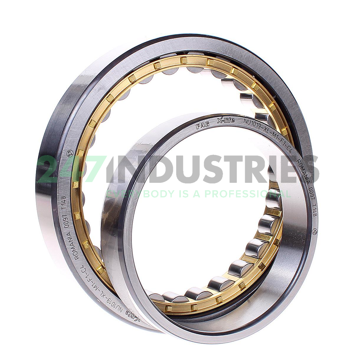NU1019-XL-M1-F1-C4 FAG Image 2