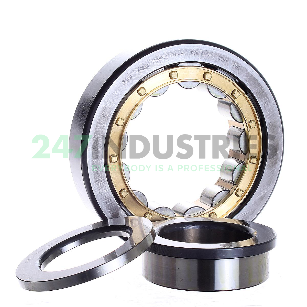 NUP411-XL-M1 FAG Image 3