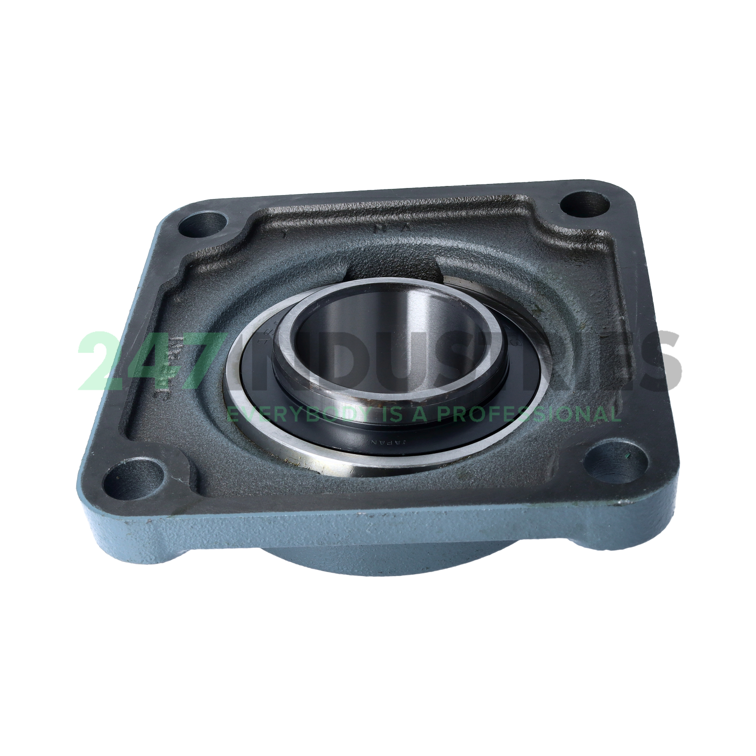 UCF213N Asahi Image 2