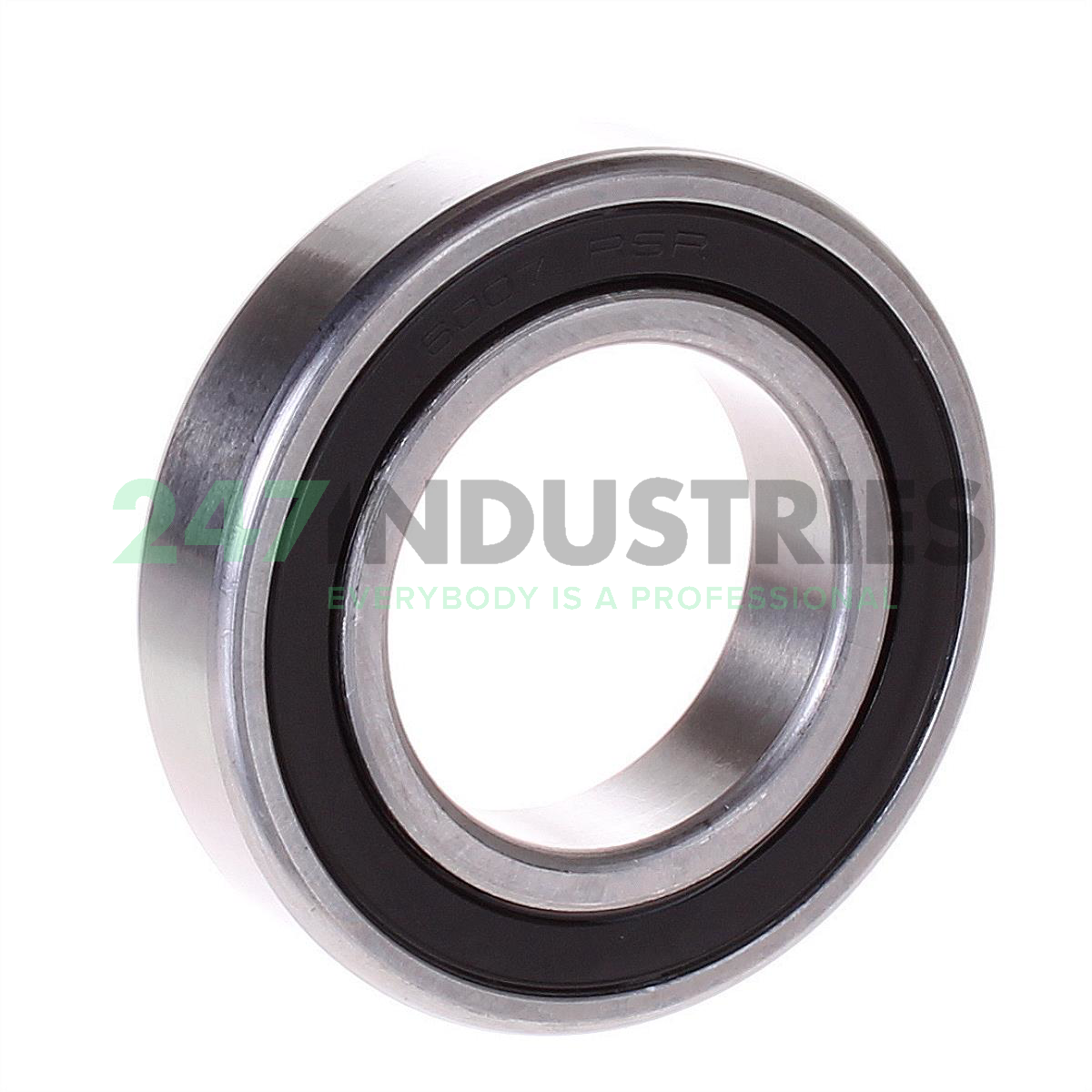 S6007.2RSR.W203B FAG