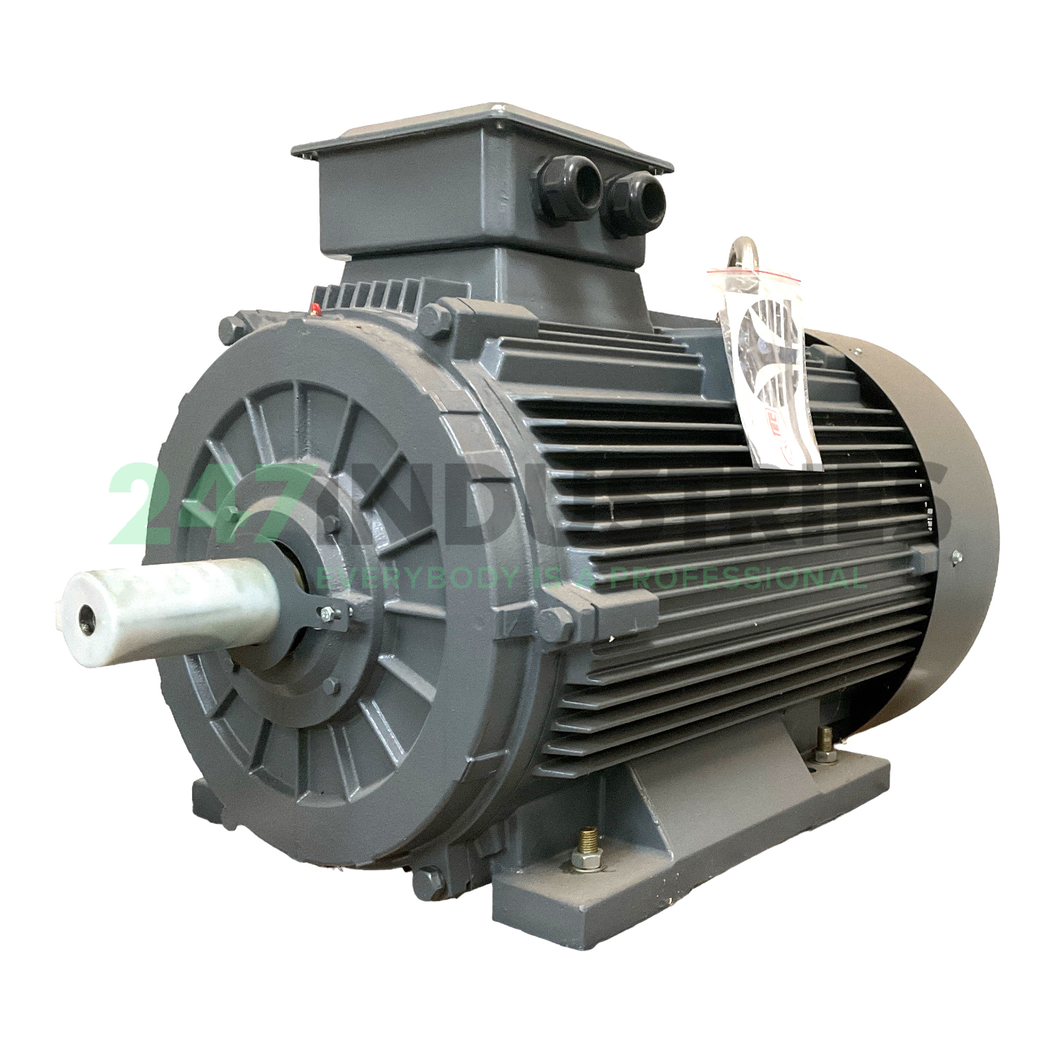 T3C315M-4-B3 TechTop Motor