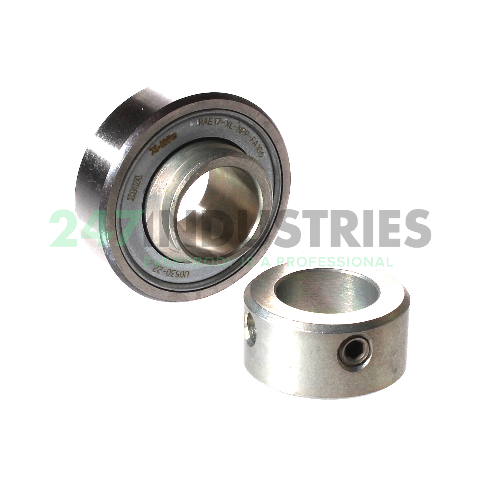 RAE17-XL-NPP-FA106 INA