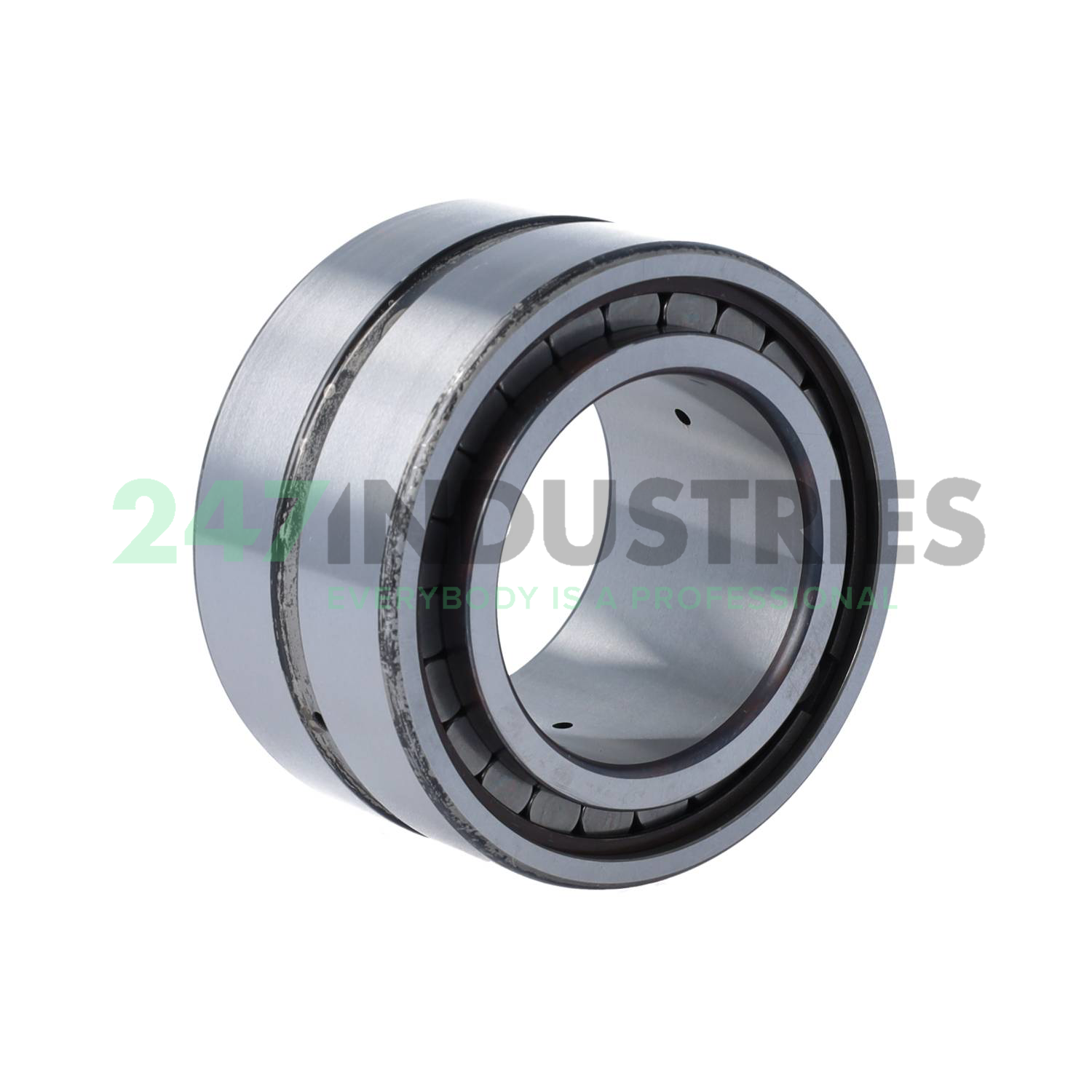 SL185009-A INA Image 2