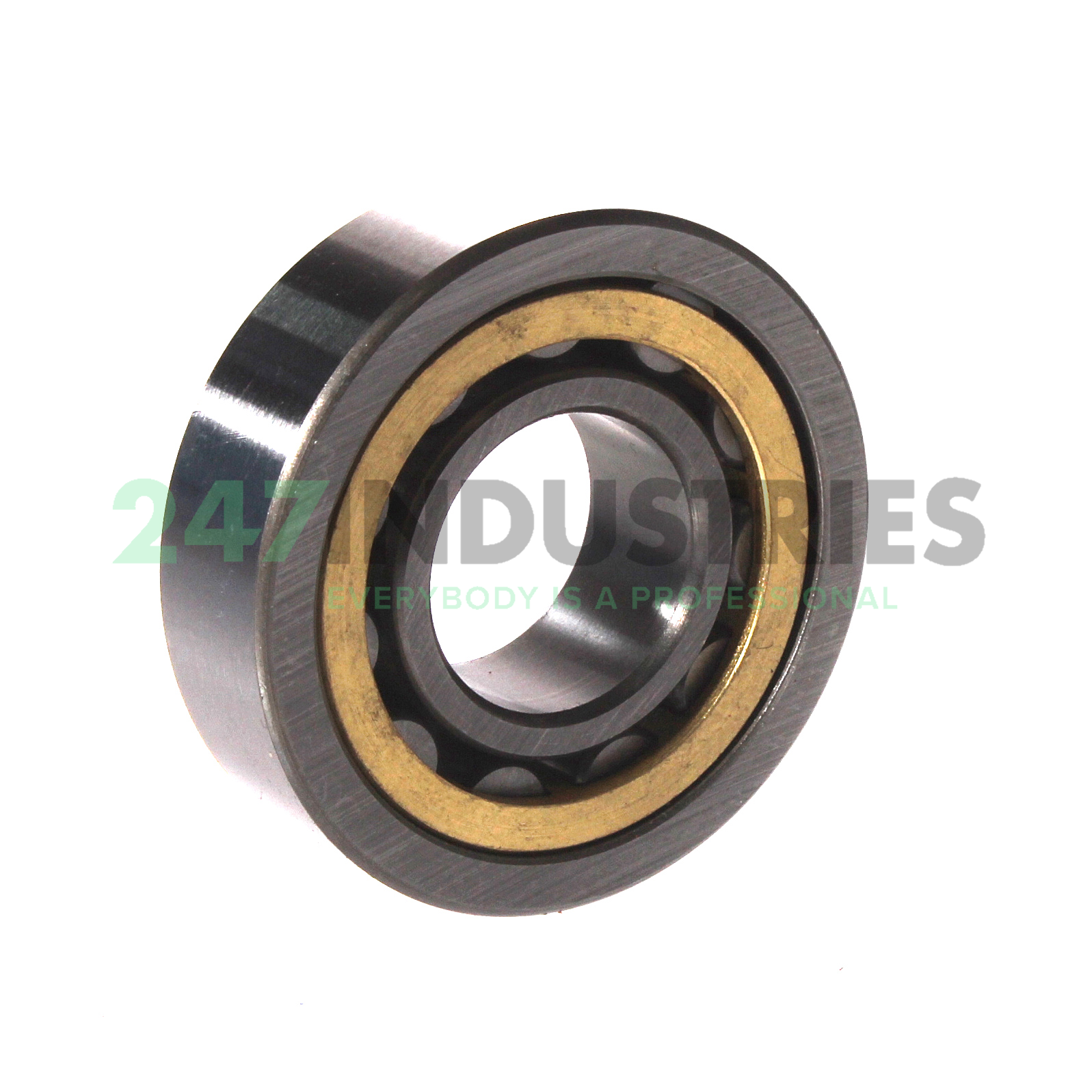 NU204EM C3 FBJ Image 2