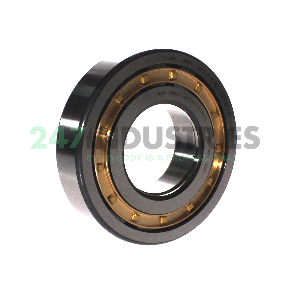 NUP313-E-XL-M1-C3 FAG