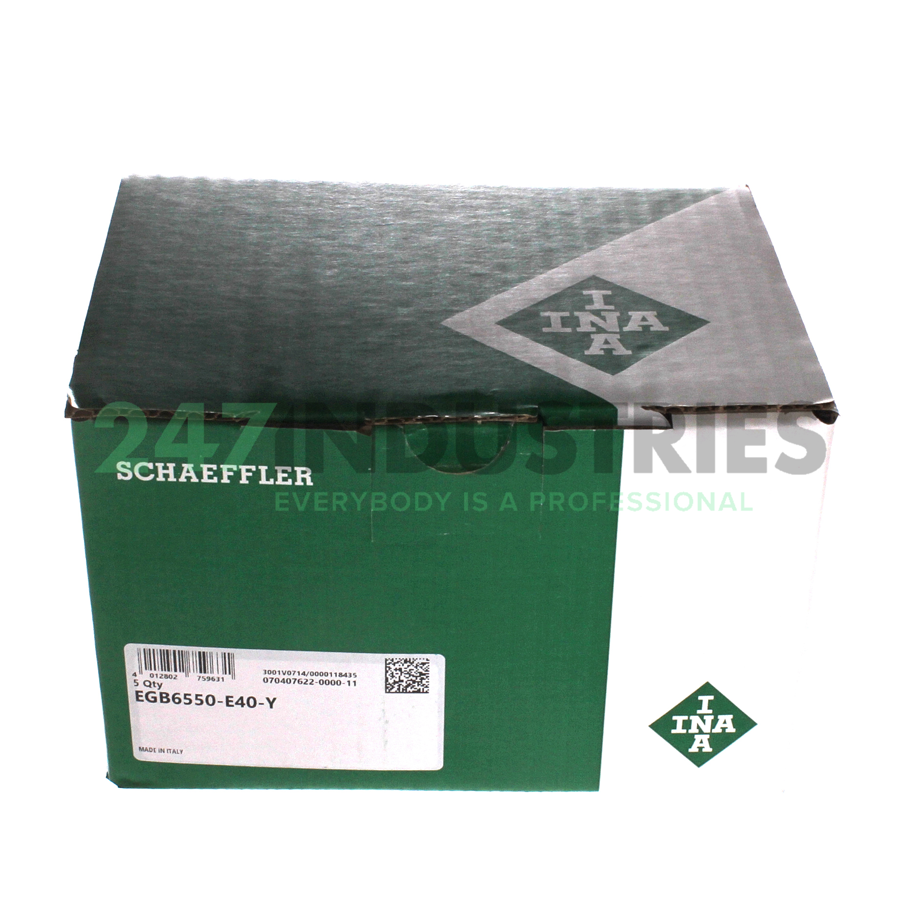 EGB6550-E40-Y INA Image 3