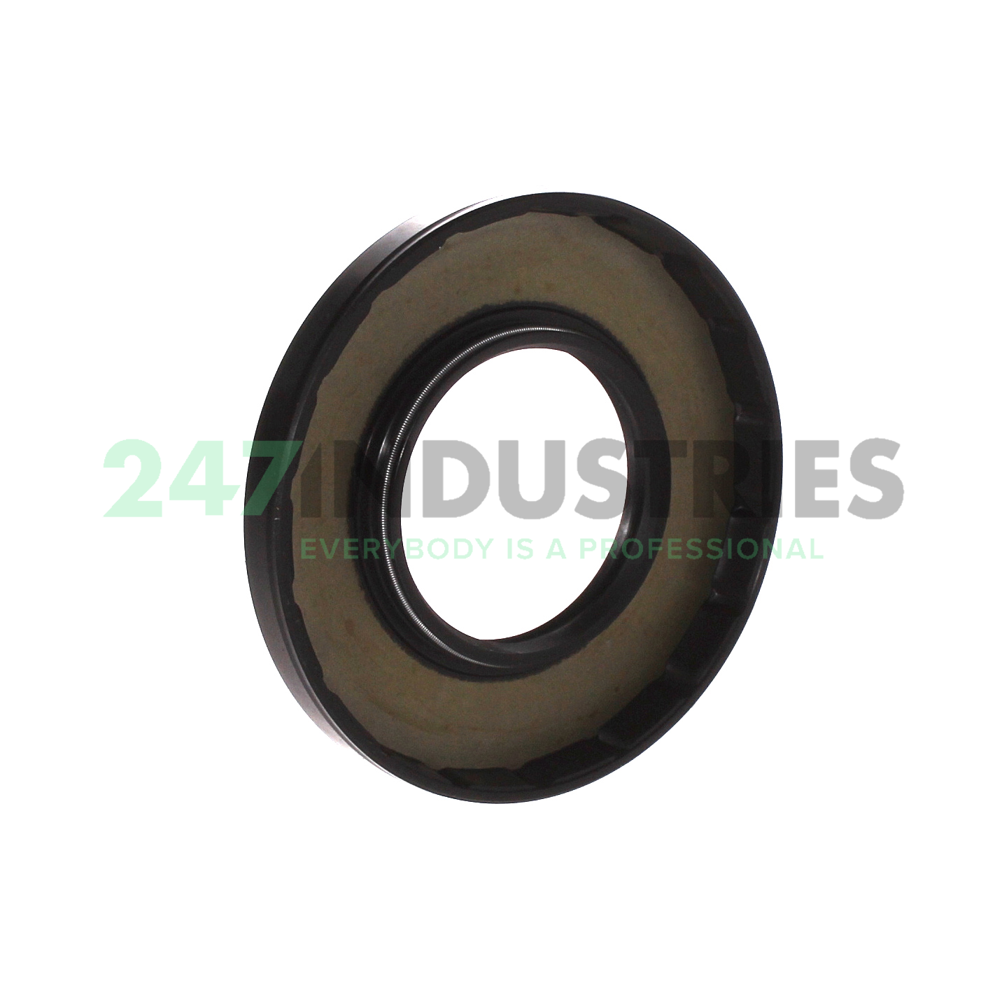 TC45X90X10 NAK Sealing Technologies Image 2