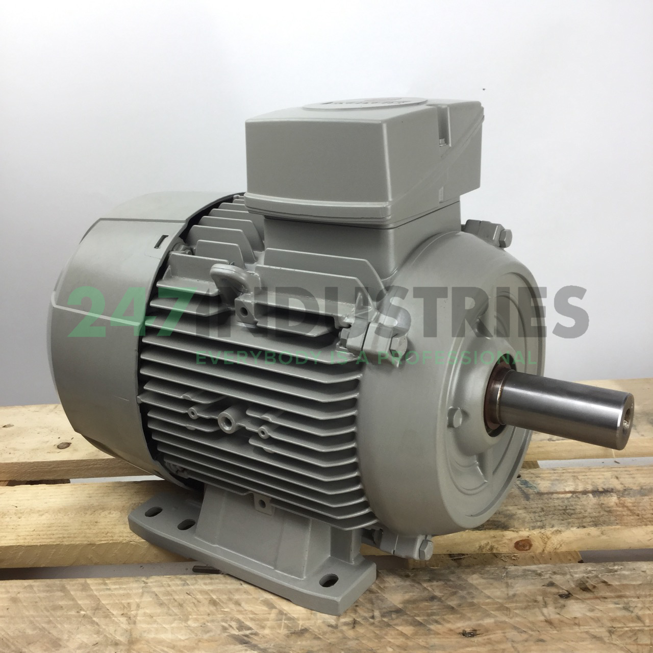 1LE1003-1CA02-2AB4 Siemens Image 3