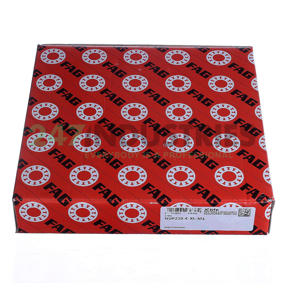 NUP220-E-XL-M1 FAG Image 5