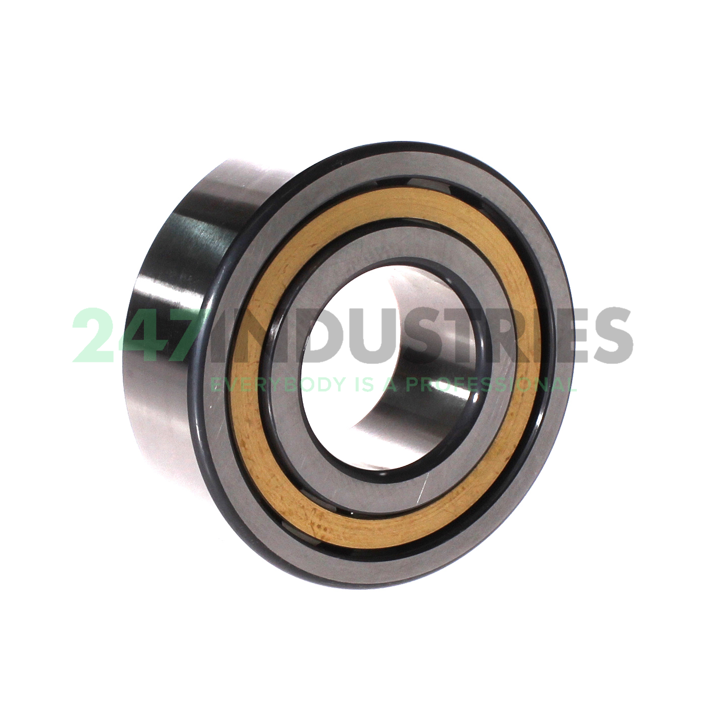 NJ2310-E-XL-M1-C3 FAG Image 2