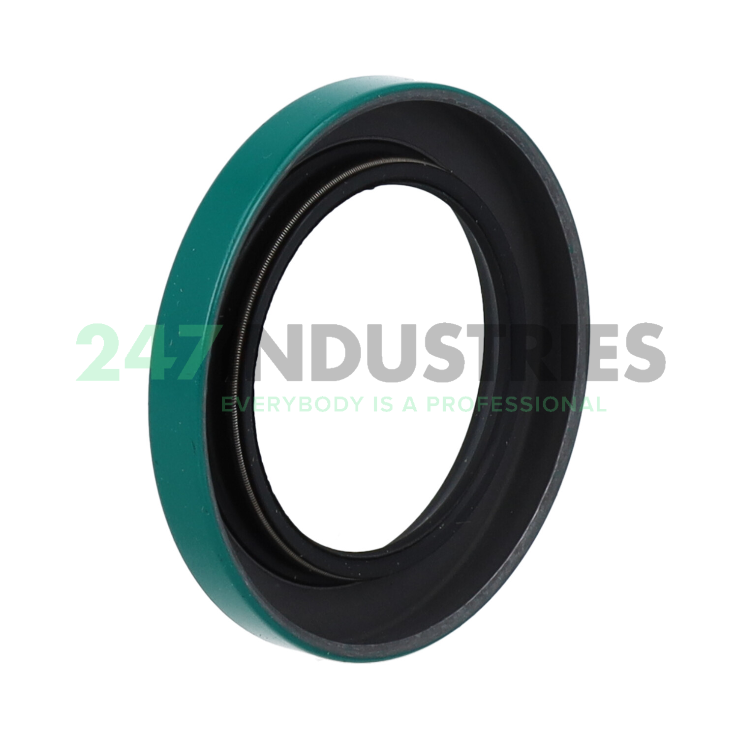 CR16113 SKF Image 2