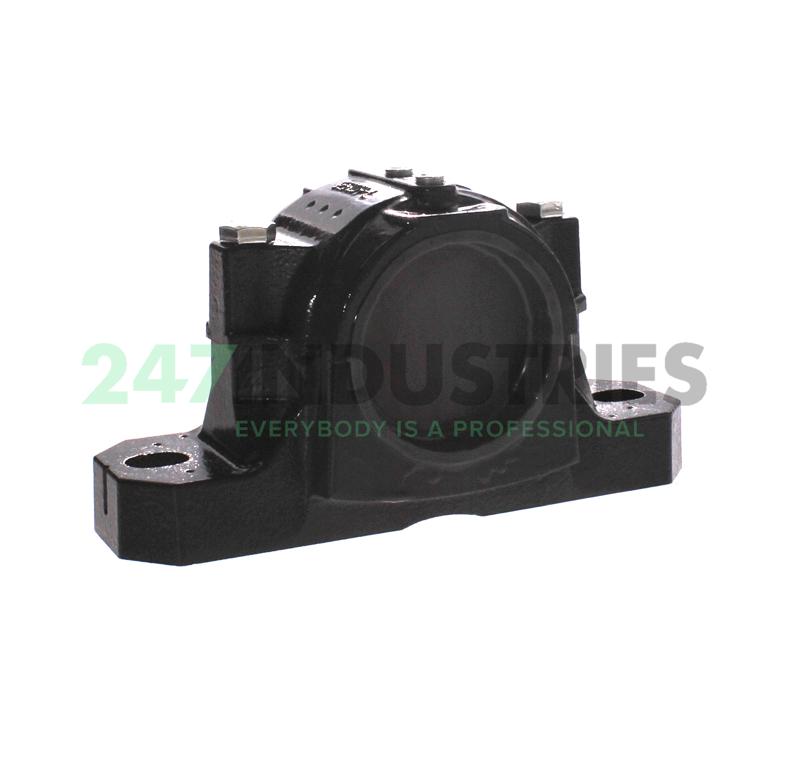 SES209-L FAG Image 2