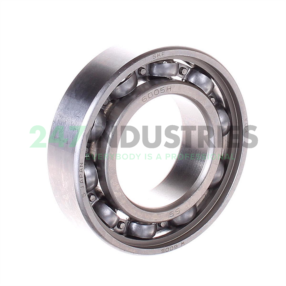 W6005 SKF